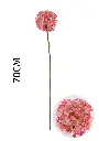 631119-粉.webp