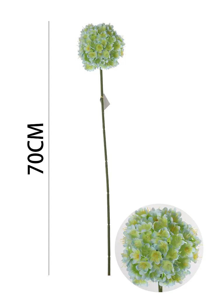 631119-蓝.webp