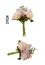 631120ROSA.webp
