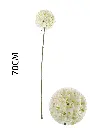 631119-白.webp