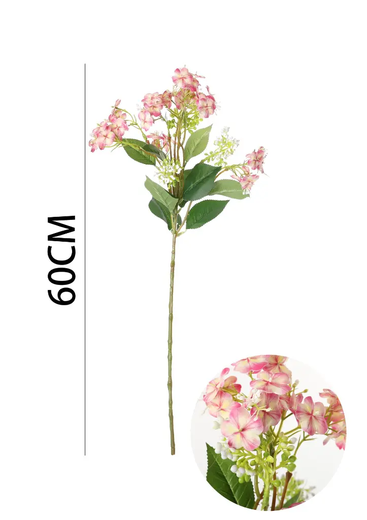 631123-粉.webp