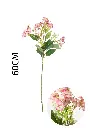 631123-粉.webp