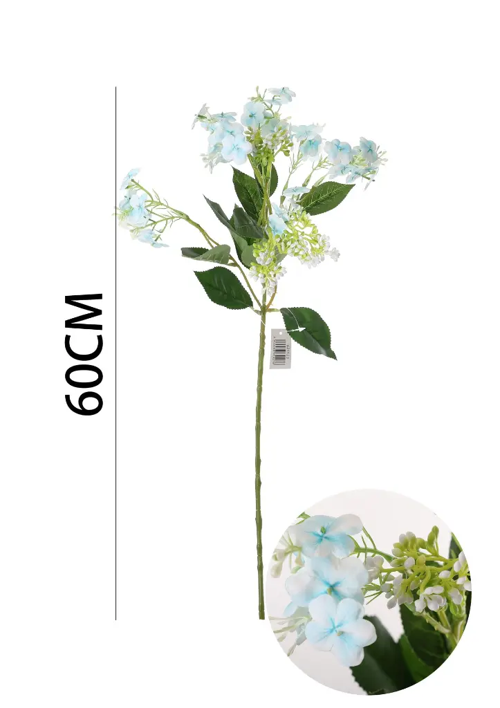 631123-蓝.webp