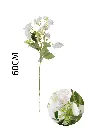 631123-白.webp
