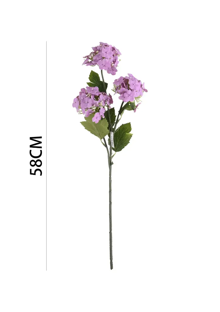 631128MORADO.webp