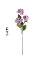 631128MORADO.webp