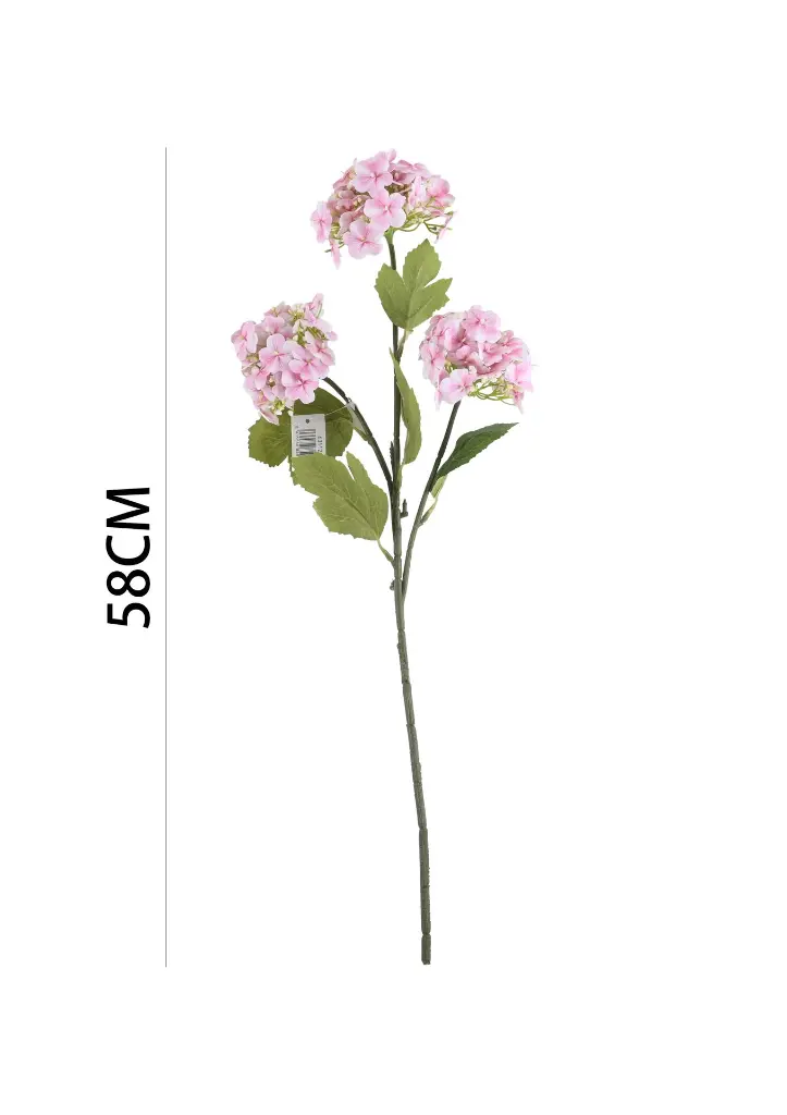 631128ROSA.webp