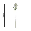 631130BLANCO.webp