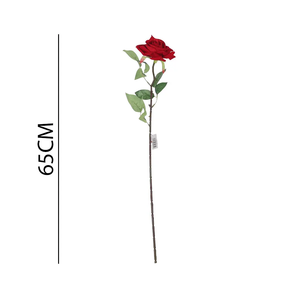 631131ROJO.webp