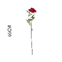 631131ROJO.webp