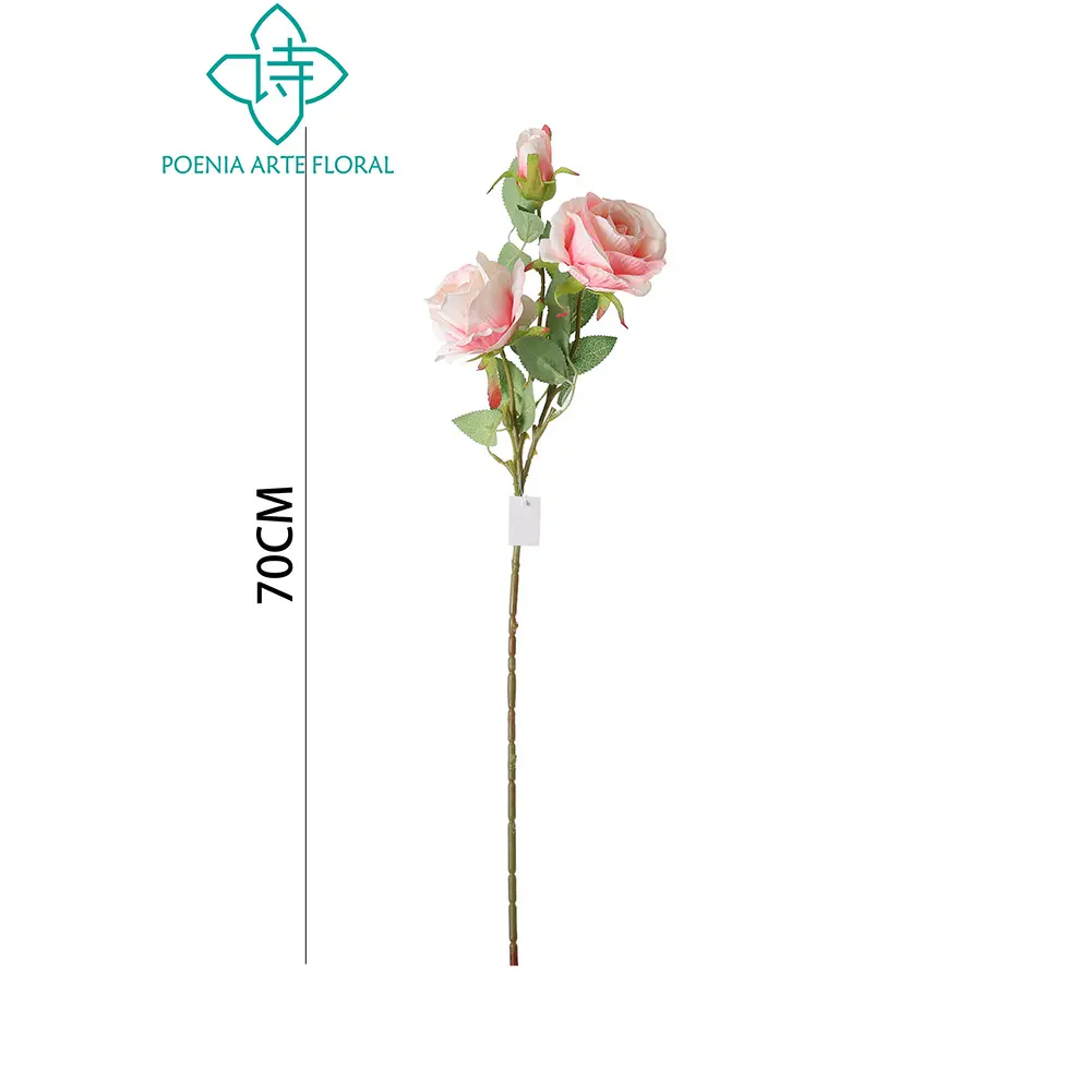 631133ROSA.webp