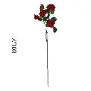 631134ROJO.webp
