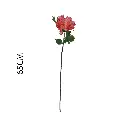 631136ROSA.webp