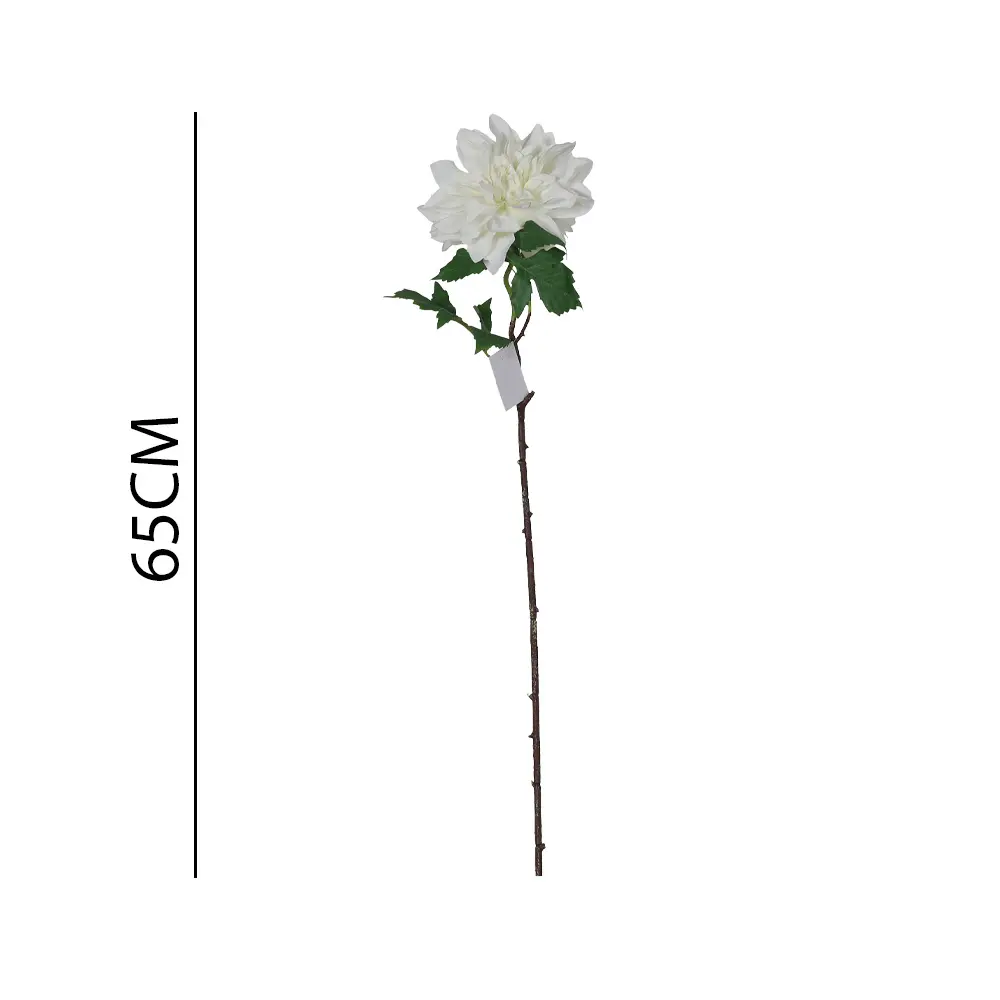 631136BLANCO.webp