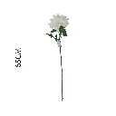 631136BLANCO.webp