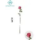 631147MEIHONG.webp