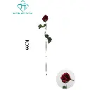 631147ROJO.webp
