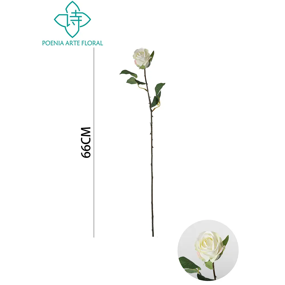 631147BLANCO.webp