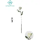 631147BLANCO.webp