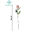 631149.webp