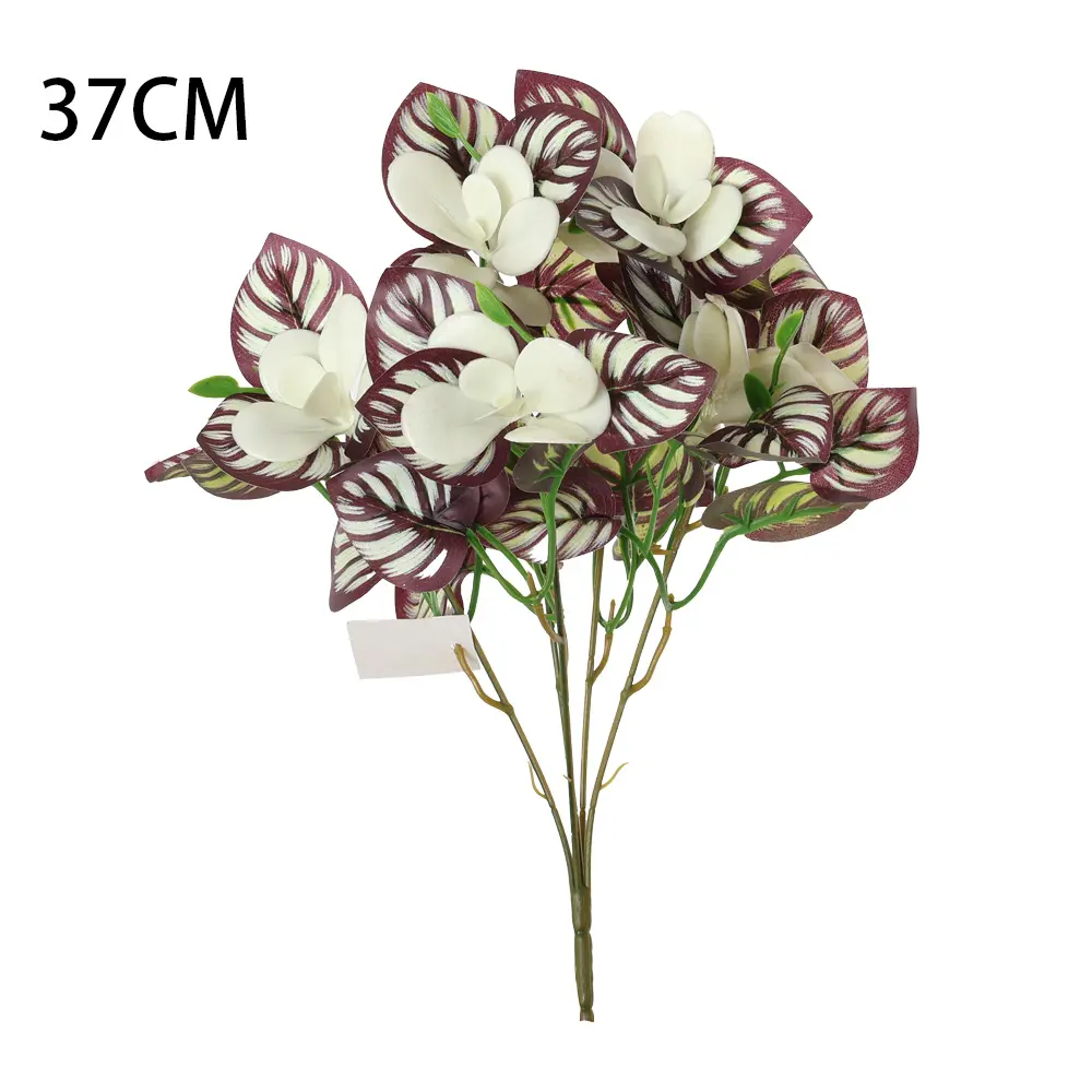 631156-5.webp