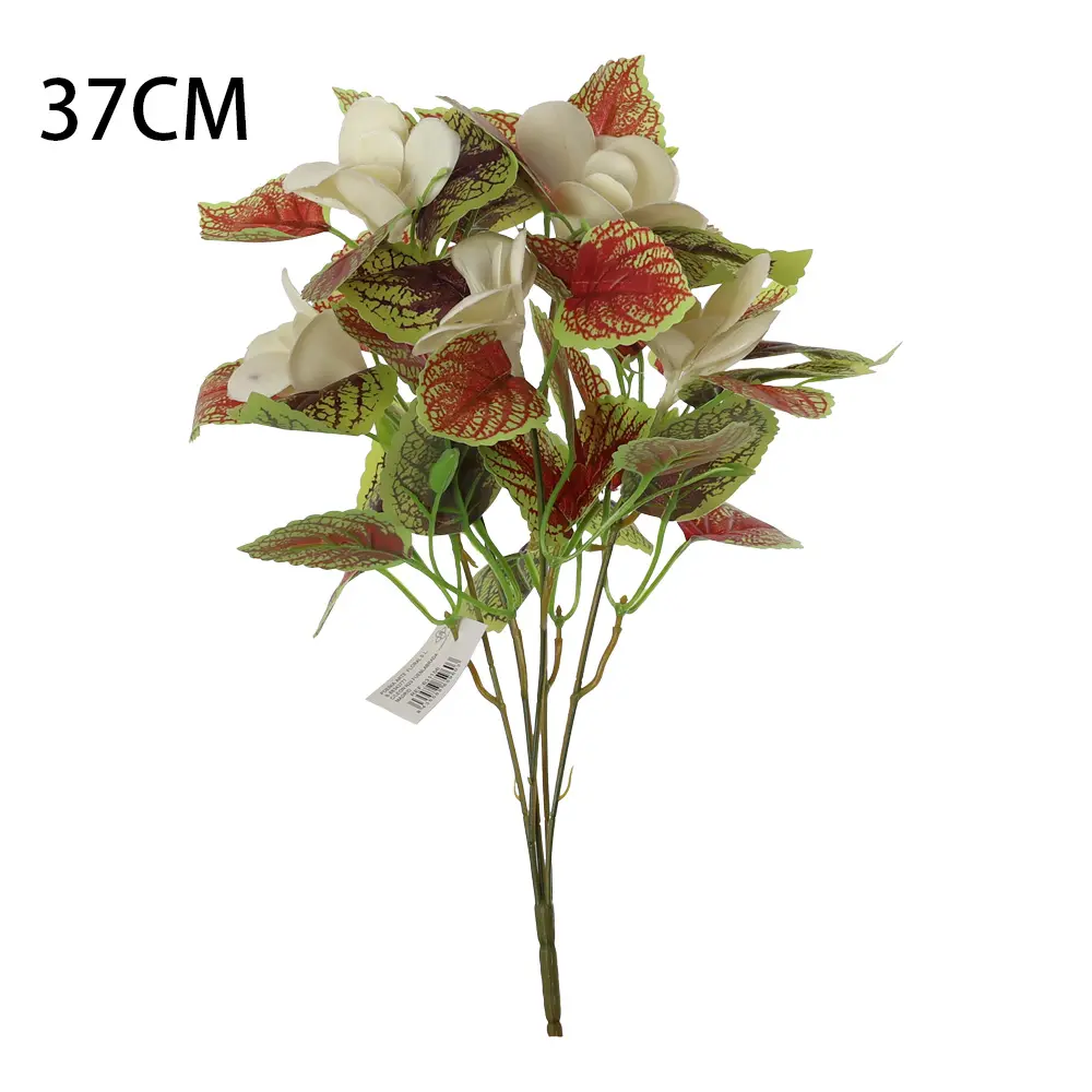 631156-3.webp