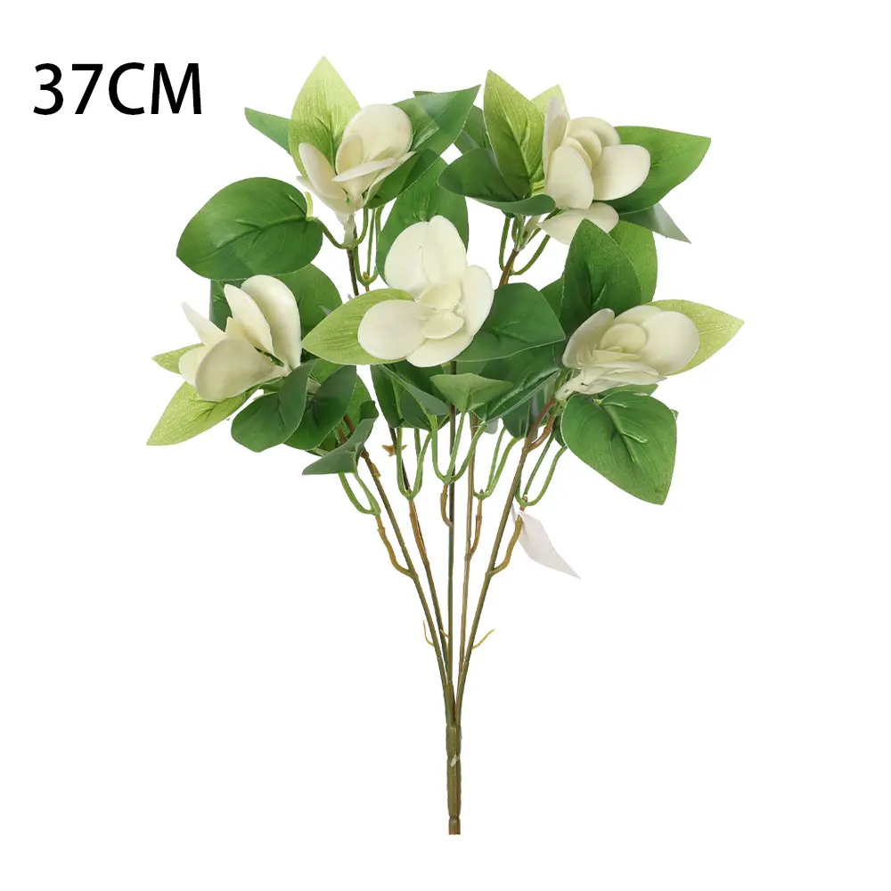 631156-1.webp
