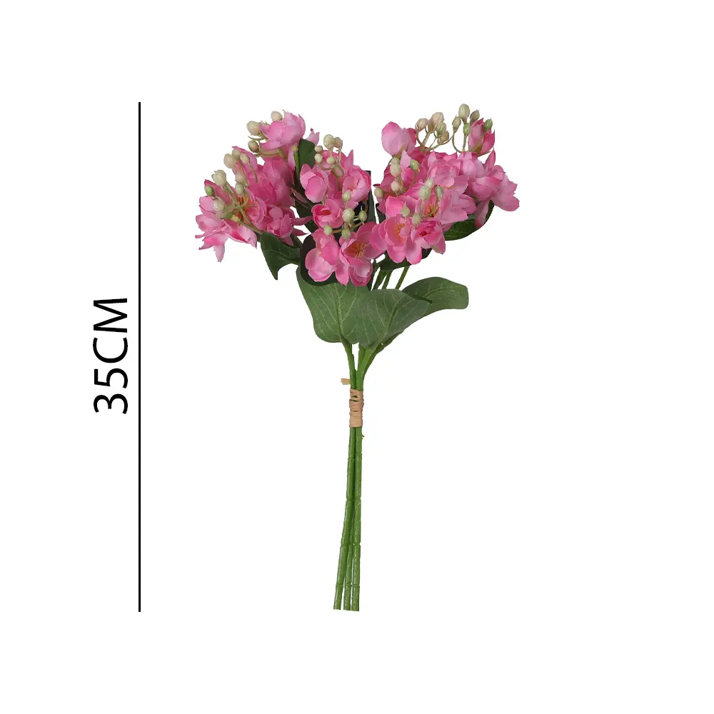 631167ROSA.webp