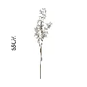 631171BLANCO.webp