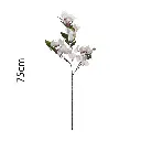 631201-1.webp