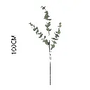 631219VERDE2.webp