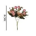 631248ROSA.webp