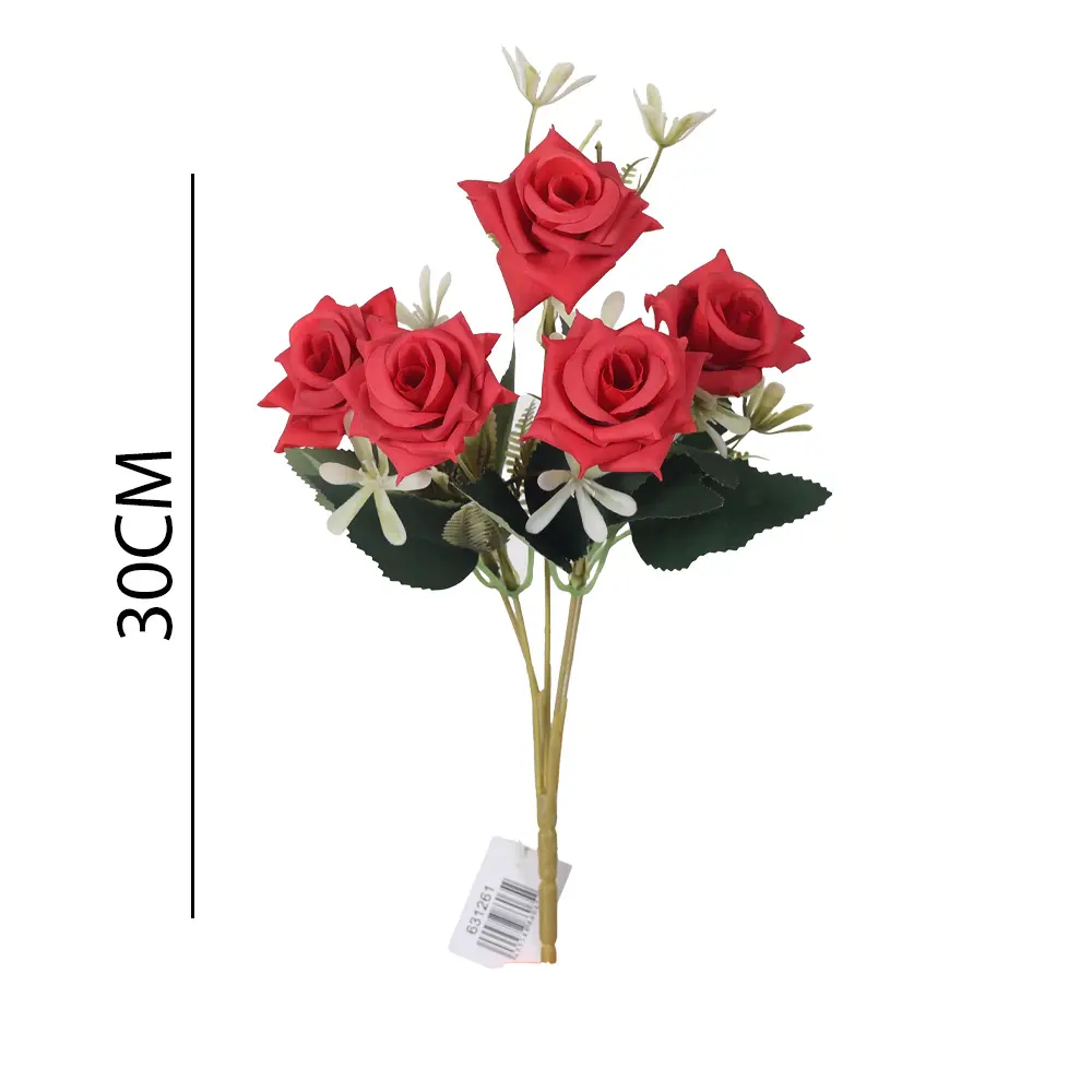 631261ROJO.webp