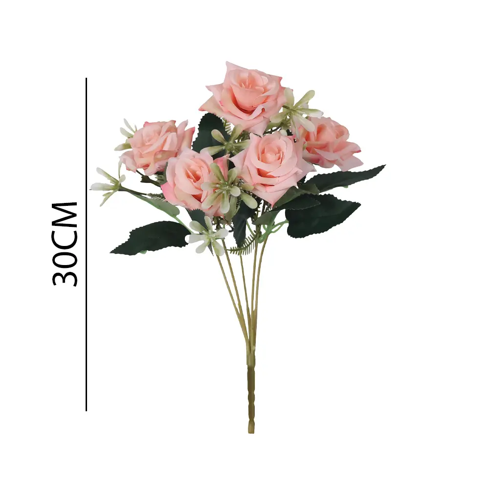 631261ROSA.webp
