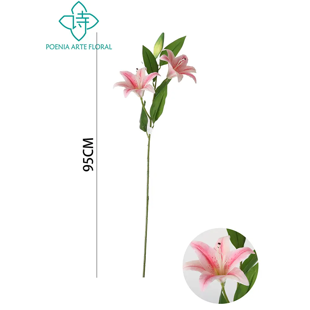 631304ROSA.webp