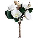 630877-2白.webp