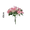 631321ROSA.webp