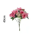631321FUCSIA.webp