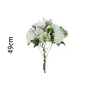 631321BLANCO.webp