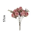631325ROSA.webp