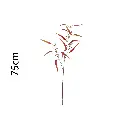 631329.webp