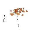 631330NARANJA.webp