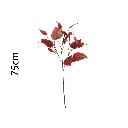 631330ROJO.webp