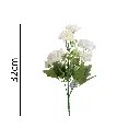 631386-1.webp