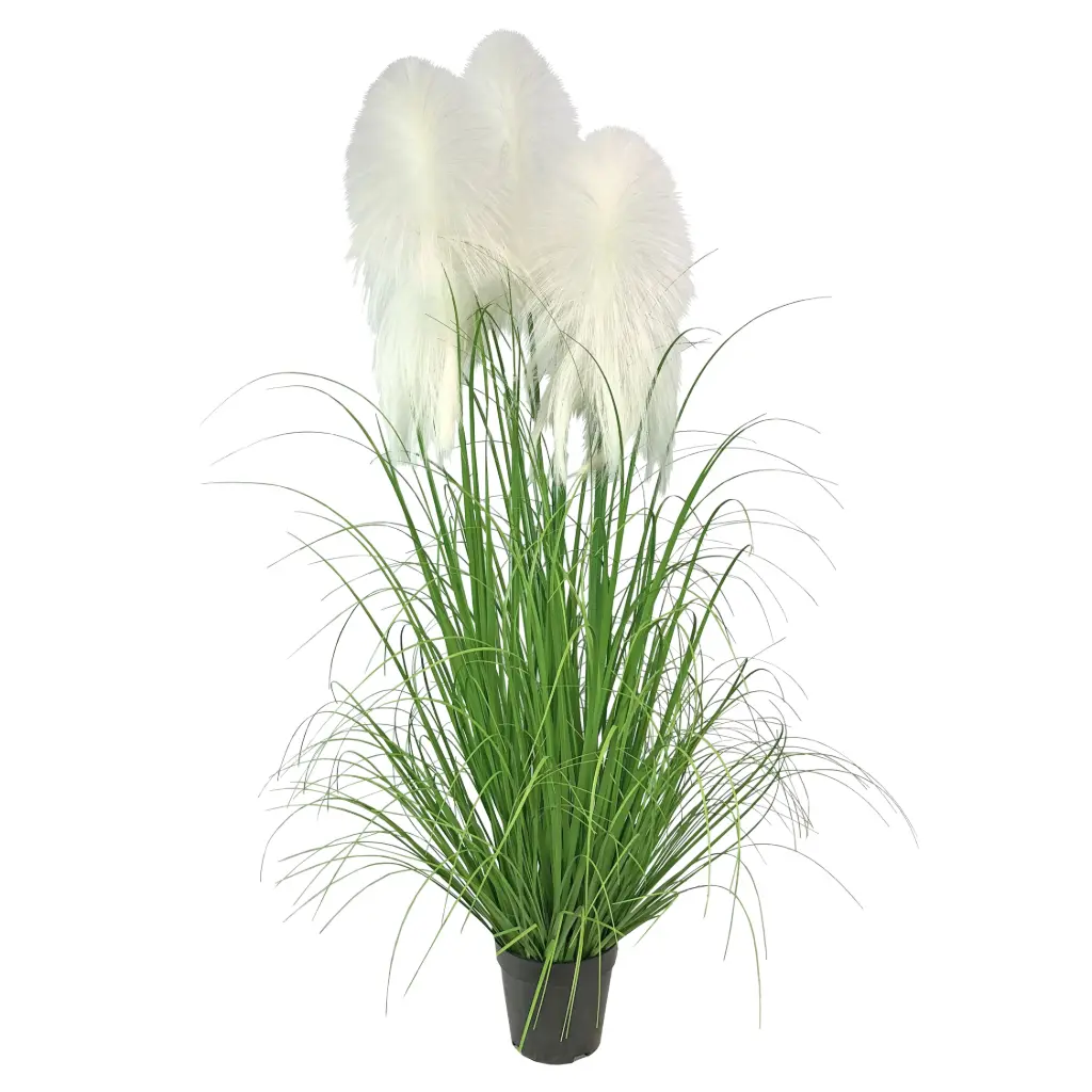 Pampa*3 en maceta 120cm 3头布芦苇120CM