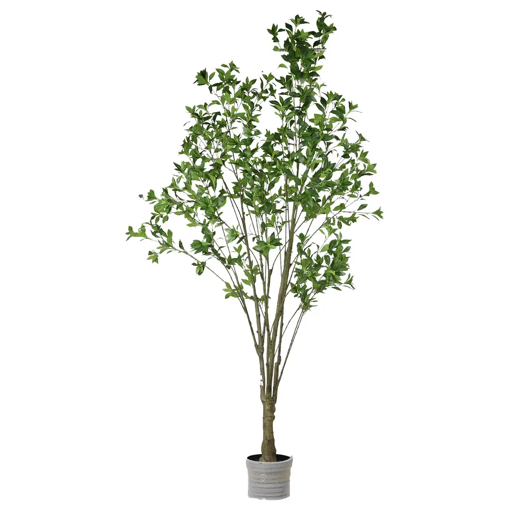 Pieris japonica artificial 220cm