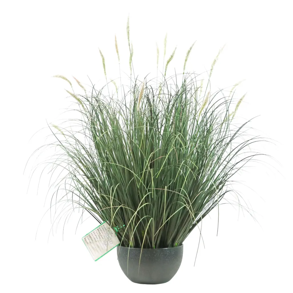 Graminada setaria artificial 70cm