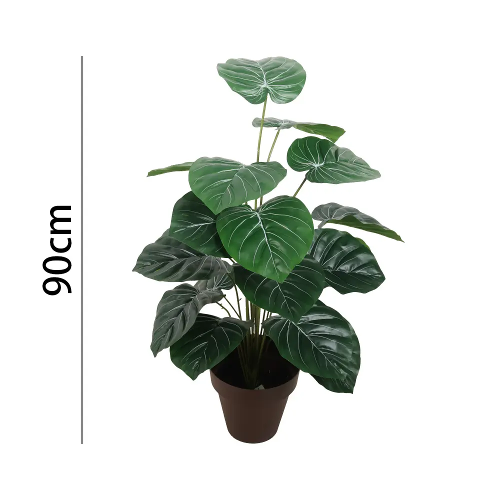 Planta con maceta 18叶滴水观音90CM