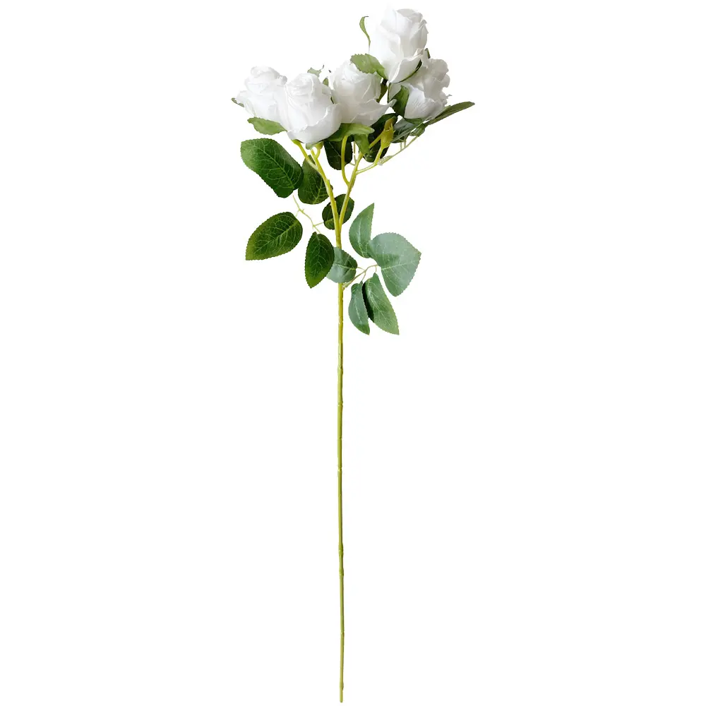 VARA ROSA*5