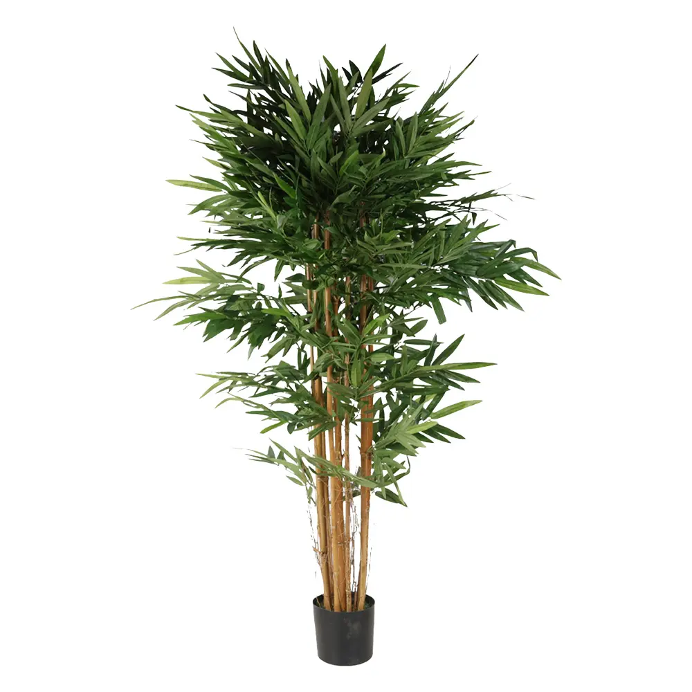 180cm bambu con meceta